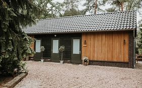 B&B ForRest